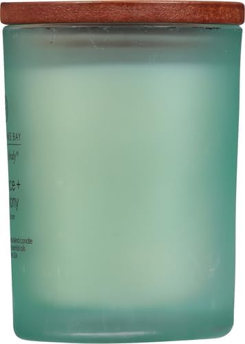 Chesapeake Bay Balance + Harmony Scented Candle Water Lily Pear Fragrance 50 Hours Burn Time Warm & Decorative Soy Wax Blend...