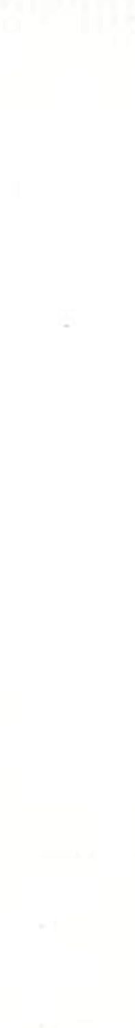 Liquitex Professional Wide Paint Marker, Titanium White...