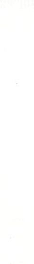Liquitex Professional Wide Paint Marker, Titanium White...