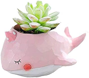 Pink Whale Animal Shaped Cartoon Succulent Planter Pots for Office,Window,Kitchen and Balcony...