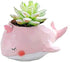 Pink Whale Animal Shaped Cartoon Succulent Planter Pots for Office,Window,Kitchen and Balcony...