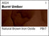 Grumbacher Academy Watercolor Paint, 7.5ml/0.25 Ounce, Burnt Umber (A024)...