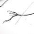 Milcraft (2 Rolls) White AND Black Elastic Thread 547 Yard Package 0.5mm Thickness...
