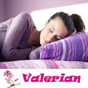 Valerian Root Capsules Organic 500mg Herb Extract Supplement 100 Pills...