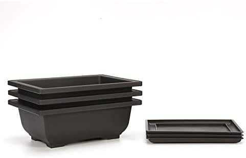 C CRYSTAL LEMON 3 Pack, Bonsai Pots, Bonsai Tree Pots with Trays - Built in Mesh, Six Inch Large Planters Durable Shatter Proof Poly-Resin...