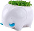(TM New Decorative Elephant Design White Mini Ceramic Plant Flower Pot Succulent Planter w/Saucer (Elephant)...
