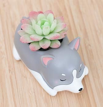Husky Dog Succulent Planter Pot,use for Office House Balcony Landscape Creative Decorative Flower Pots (Husky)...
