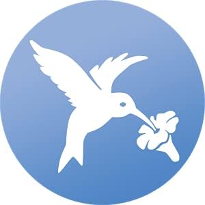 WindowAlert Hummingbird Anti-Collision Decal - UV-Reflective Window Decal to Protect Wild Birds from Glass Collisions - Made in The USA...