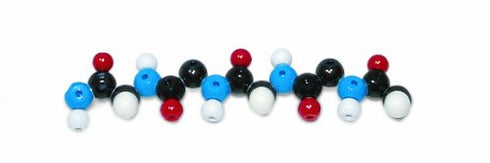 Molymod W19751 30 Piece Polypeptide Molecular Model Kit...