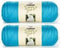 Bulk Buy: Caron Simply Soft Yarn Solids (2-Pack) (Blue Mint)......