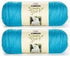 Bulk Buy: Caron Simply Soft Yarn Solids (2-Pack) (Blue Mint)......