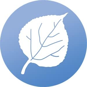 WindowAlert Aspen Leaf Anti-Collision Decal - UV-Reflective Window Decal to Protect Wild Birds from Glass Collisions - Made in The USA...