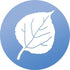 WindowAlert Aspen Leaf Anti-Collision Decal - UV-Reflective Window Decal to Protect Wild Birds from Glass Collisions - Made in The USA...