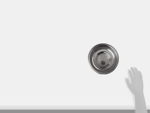 Loving Pets Standard Stainless Dish, Dog Bowl, 2-Quart...