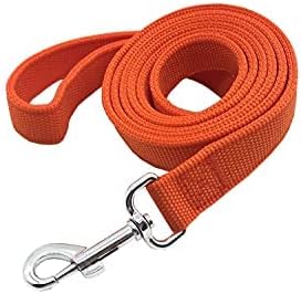 Strong Nylon Dog Leash with 2-Layer, 4 FT/ 6 FT/ 7FT Long, 1 Inch Wide for Medium Large Dogs (Orange, 1'' x 2 FT)...