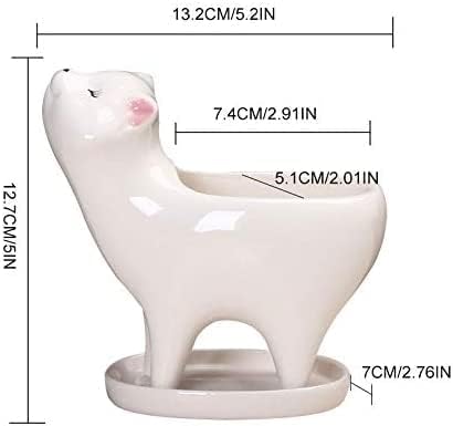White Cat Ceramic flower pot cute animal basin cactus succulent plant basin table top balcony decoration (White Cat)...