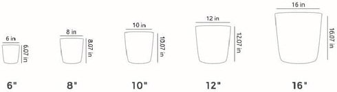 The HC Companies 6 Inch Aria Round Self Watering Planter - Plastic Plant Pot for Indoor Outdoor Plants Flowers Herbs, Glossy Green...