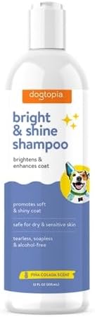 Bright and Shine Shampoo – 16oz Piña Colada Scent | Restoring Shampoo Rich with Soothing Colloidal Oatmeal | Tearless and Alcohol-Free for Everyda...