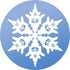 WindowAlert Snowflake Anti-Collision Decal - UV-Reflective Window Decal to Protect Wild Birds from Glass Collisions - Made in The USA...