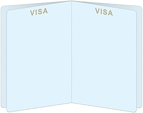 Beistle Set of 8 Around The World Passports, Global Adventure Travel Party Favors, Made In USA Since 1900...