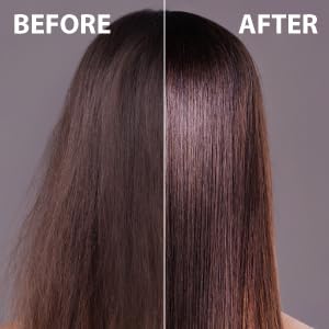 Daeng Gi Meo Ri Professional Honey Therapy Hair Mist with Wheat Protein - Korean Beauty, Damage Protection, Natural Ingredients - 250ml...