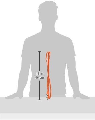 Hamilton Single Thick Nylon Lead with Swivel Snap, 3/8-Inch x 6-Feet Long, Mango Orange...