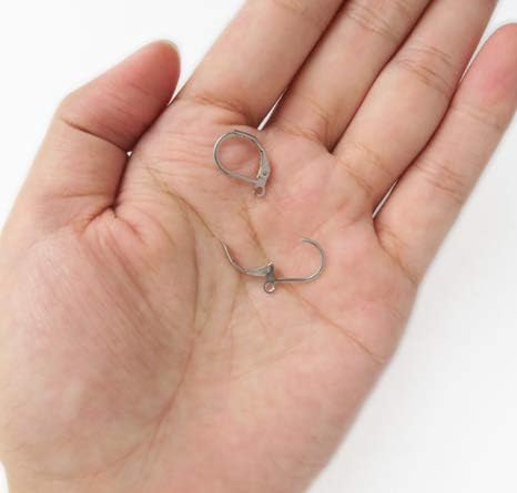50PCS Silver 304 Stainless Steel Lever Back Earrings Earwire Findings for Earring Making,DIY Accessories,10x15mm...