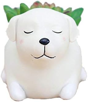 Labrador Dog Succulent Planter Pots for Office House Balcony Landscape Creative Decorative Flower Pots (Labrador Dog)...