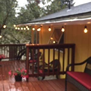 S14 Clear String Light Bulbs, 2W Plastic LED Replacement Bulbs for Outdoor Patio String Lights with E26 Base, Pack of 25...