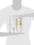 Simplicity 1930's Fashion Women's Vintage Bra and Panties Sewing Patterns, Sizes 4-12...
