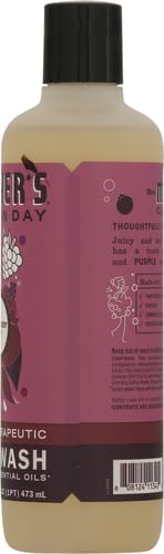 MRS. MEYER'S CLEAN DAY Body Wash, Plumberry, 16 Fl Oz (Pack of 1)...