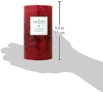 Aroma Naturals Holiday Orange, Clove and Cinnamon Essential Oil Scented Pillar Candle, Warm Spice, 2.75 inch x 5 inch...