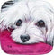 Maltese Potholder...