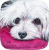 Maltese Potholder...