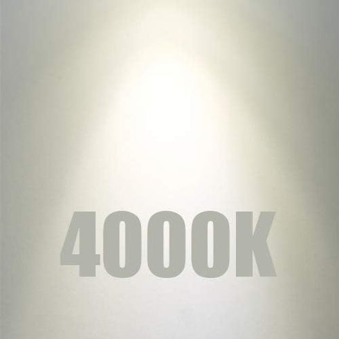 LEOOLS E26 LED Bulb 8W Equivalent e26 led Bulb 100 Watt Dimmable Daylight 4000K E26 Edison Bulb AC120V 800lm Tubular F14 F45 LED Bulb for Pendant,...