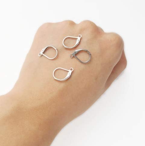 50PCS Silver 304 Stainless Steel Lever Back Earrings Earwire Findings for Earring Making,DIY Accessories,10x15mm...