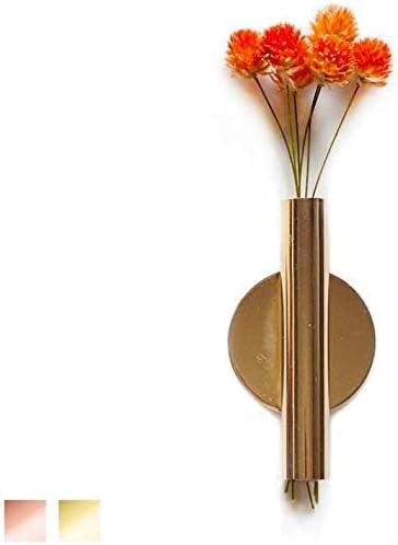 Wall-Mounted Flower Tube for Flower Display, Wall Metal Vase Decoration Holder(Adhesive Material Included) (Gold)...
