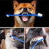 Newday Dog Toothbrush Set of 8 - Dual Headed, Dental Hygiene Convenient Soft Toothbrush to Clean pet Teeth, Dog Tooth Brushes for Small to Large D...
