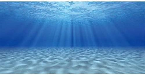 AWERT Undersea Theme Aquarium Background Sunshine Underwater World Fish Tank Background 36x18 inches...