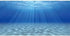 AWERT Undersea Theme Aquarium Background Sunshine Underwater World Fish Tank Background 36x18 inches...