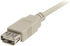 StarTech.com (USBEXTAA_6) 1,8m (6 ft) USB 2.0 Extension Cable A to A - M/F...