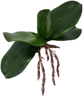 Sweet Home Deco Gel Coated Phanaenopsis Orchid Artificial Greenery Leaf with Realistic Roots Set of 2 (1, 6.5''L)...