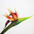 3 Pcs Large Bird of Paradise 32 Inch Permanent Flower,UV Resistant No Fade Flower Part is Made of Soft Rubber PU,Artificial Flower Plants for Home...