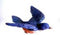 CC52005 Blue Bird Window Magnet...