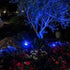 Explux High-Intensity 200W Equivalent LED PAR38 Flood Blue Light Bulbs, Full Glass Weatherproof & Anti-Ageing, Dimmable, Blue Color Spotlight, 2-P...