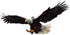 Eagle cute car accessories Window pendants Interior rearview mirror pendants Auto parts Car accessories Trailer pendants...