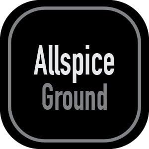 AllSpice 312 Preprinted Water Resistant Square Spice Jar Labels Set 2"...