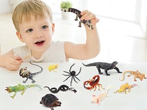 Toymany 12PCS Reptile Animal Figurine Toys Set, Cold Blooded Amphibians Desert Animal Figures with Komodo Dragon Lizard Snake Chameleon Rainforest...