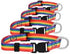 Rainbow Pet Collars for Dog or Cat - Gay Pride Dog and Cat Collars - LGBTQ Accessories for Dogs, Cats, and Pets - Pride Flag Dog and Cat Collar - ...