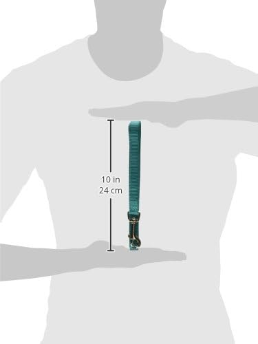 Hamilton Pet & Equine Hamilton 4-Feet Long Single Thick Deluxe Nylon Lead with Swivel Snap, 5/8-Inch, Teal...